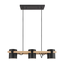 Eglo Canada - Trend 43045A - Hornwood 3-Light Pendant