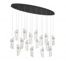 Lib & Co. CA 10172-017-02 - Sorrento, 16 Light Oval LED Chandelier, Clear, Black Canopy