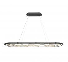 Lib & Co. CA 12174-040 - Nettuno 60" Oval LED Chandelier, 
Painted Brushed Grey