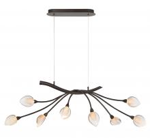 Lib & Co. CA 12233-043 - Modena, 8 Light Oval LED Chandelier, 
Black with Gold Accent