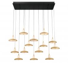 Lib & Co. CA 12259-02 - Mantova, 14 Light Rectangular LED Chandelier, Matte Black