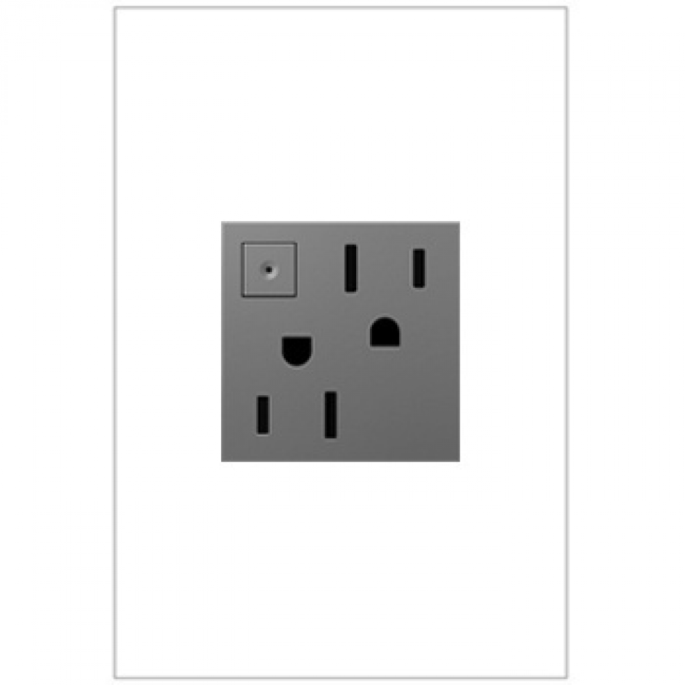 adorne® 15A Energy-Saving On/Off Outlet, Magnesium