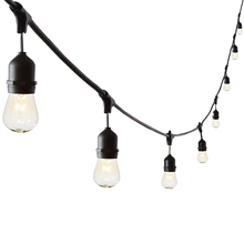 Dainolite STG-248OD-BK - 8LT Incan Indoor/Outdoor String Light, BK Finish