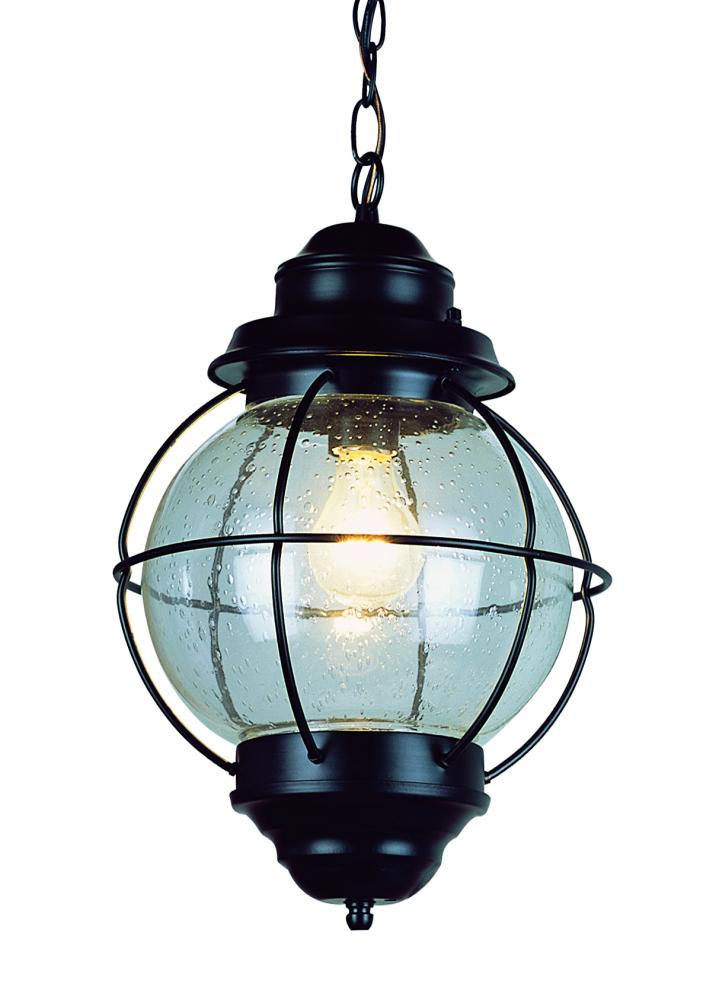 Catalina 13.5" Hanging Lantern Light