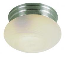 Trans Globe 3621 BN - Dash 10" Flushmount