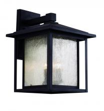 Trans Globe 40362 BK - 3LT WALL LANTERN-LG-SEEDED-BK