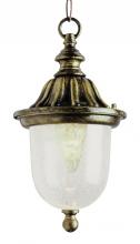 Trans Globe 4185 BK - 1LT HANGING LANTERN