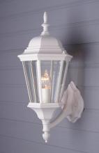 Trans Globe 4250 WH - San Rafael 23" Wall Lantern