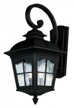 Trans Globe 5420 BK - Briarwood 1-Light Rustic, Chesapeake Embellished, Armed Water Glass and Metal Wall Lantern