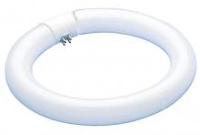  0601000 - 22W T9 Circular Fluorescent Cool White 4-Pin Base, Hanging Box