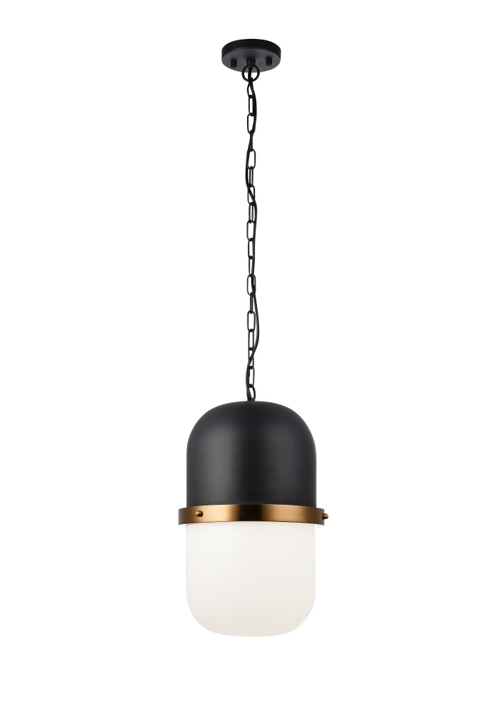 Tillie Matte Black Pendant
