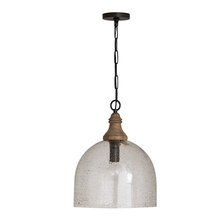 Capital Canada 336011YP-484 - 1 Light Pendant