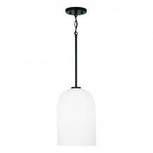 Capital Canada 348811MB - 1 Light Pendant