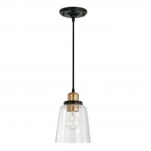 Capital Canada 3718AB-135 - 1 Light Pendant