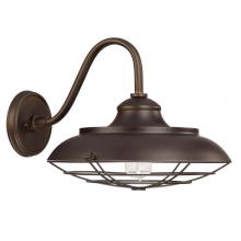 Capital Canada 4562BB - 1 Light Outdoor Wall Lantern