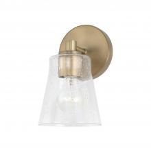 Capital Canada 646911AD-533 - 1 Light Sconce