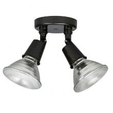 Capital Canada 9502RZ - 2 Light Outdoor FloodLight