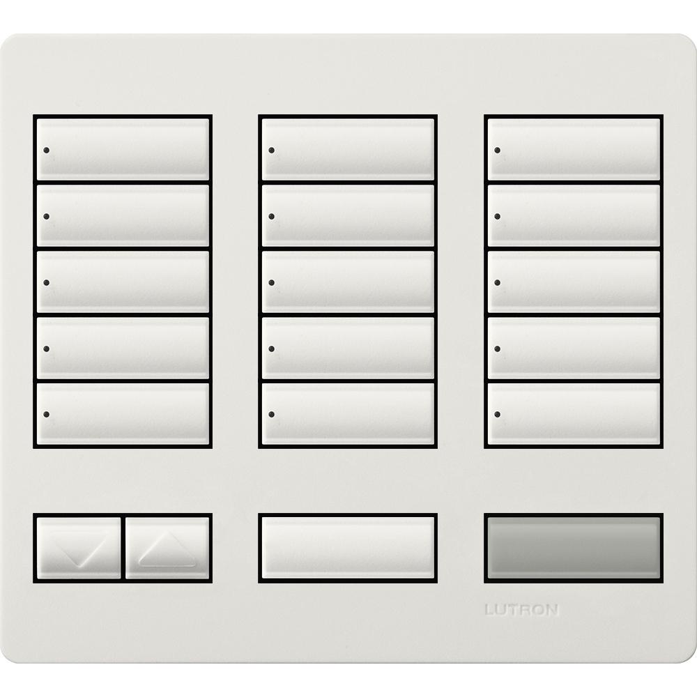 LARGE 15 BUTTON FACEPLATE KIT SW