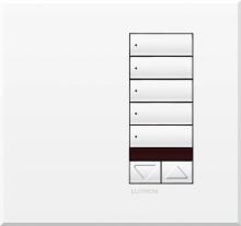 Lutron Electronics QSWE-5BRLIRN-SC - QSWE-WALLSTN 5BRLIR N/INS