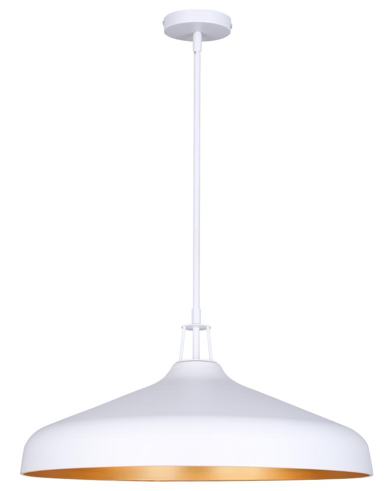 HOLLAND (PGD inside) Color, 4 Lt 22in Width Rod Pendant, 60W Type A,22inch W x 13.125-61.125inch H