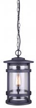 Canarm IOL343BK - DUFFY, 1 Lt Chain Pendant Outdoor, Seeded Glass, 100W Type A, 9 1/2" W x 16 1/8" H