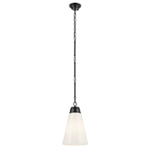 Kichler 52661BK - Pendant Medium 1Lt