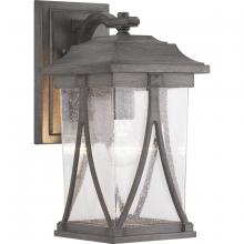 Progress P560114-103 - P560114-103 1-100W MED WALL LANTERN