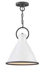 Hinkley Canada 3557PT - Medium Pendant