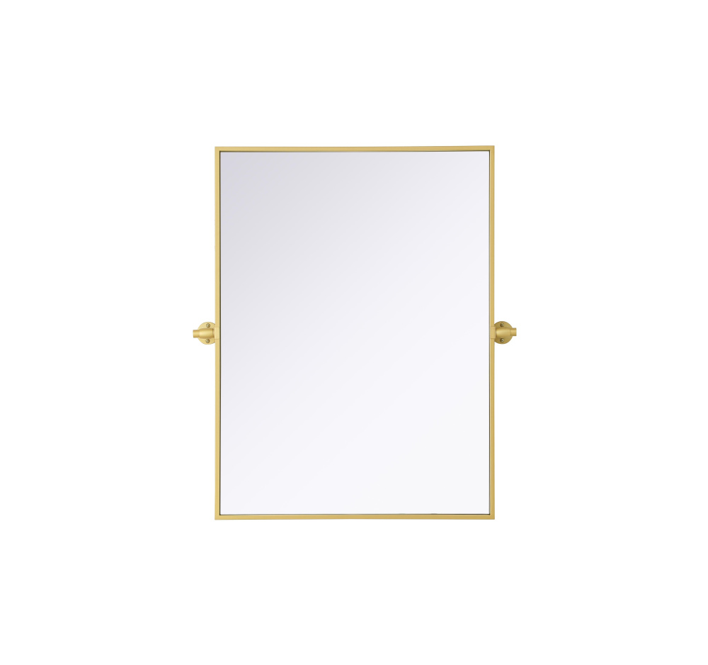 Amoura 24x32 Pivot Mirror in Brass
