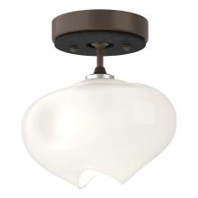 Hubbardton Forge - Canada 121372-SKT-05-10-FD0710 - Ume 1-Light Semi-Flush