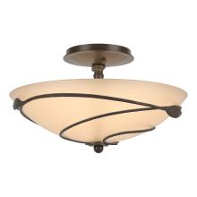 Hubbardton Forge - Canada 126712-SKT-05-SS0048 - Forged Leaves Semi-Flush