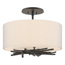 Hubbardton Forge - Canada 127660-SKT-10-SE1505 - Brindille Semi-Flush