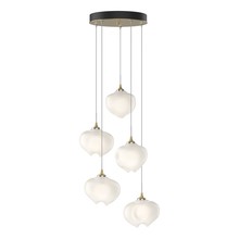 Hubbardton Forge - Canada 131123-SKT-LONG-86-FD0710 - Ume 5-Light Pendant