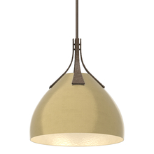 Hubbardton Forge - Canada 134502-SKT-MULT-05-86 - Summit Pendant