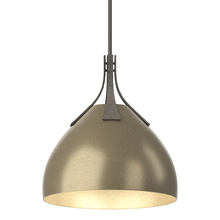 Hubbardton Forge - Canada 134502-SKT-MULT-07-84 - Summit Pendant