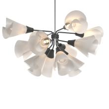 Hubbardton Forge - Canada 134510-SKT-MULT-10-SH1987 - Mobius 12-Light Pendant