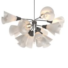 Hubbardton Forge - Canada 134510-SKT-MULT-14-SH1987 - Mobius 12-Light Pendant