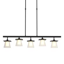 Hubbardton Forge - Canada 136605-SKT-LONG-10-ZU0284 - Wren 5 Light Pendant