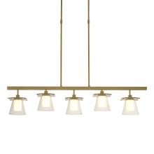 Hubbardton Forge - Canada 136605-SKT-LONG-86-ZU0284 - Wren 5 Light Pendant