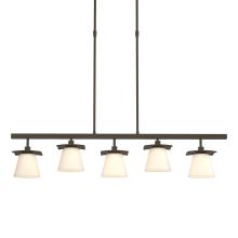 Hubbardton Forge - Canada 136605-SKT-SHRT-07-GG0242 - Wren 5 Light Pendant