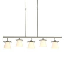 Hubbardton Forge - Canada 136605-SKT-SHRT-85-GG0242 - Wren 5 Light Pendant