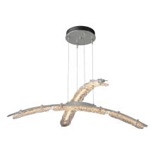 Hubbardton Forge - Canada 137587-LED-STND-82-ZM0749 - Glissade Double Large LED Pendant