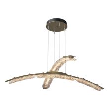 Hubbardton Forge - Canada 137587-LED-STND-84-ZM0749 - Glissade Double Large LED Pendant