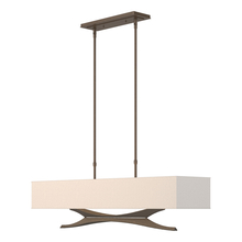 Hubbardton Forge - Canada 137655-SKT-STND-05-SE4298 - Moreau Pendant