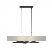 Hubbardton Forge - Canada 137660-SKT-STND-10-SF4298 - Brindille Pendant