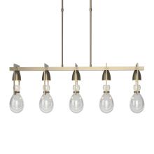 Hubbardton Forge - Canada 137810-SKT-LONG-84-ZM0572 - Apothecary Pendant