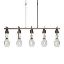 Hubbardton Forge - Canada 137810-SKT-SHRT-05-ZM0572 - Apothecary Pendant