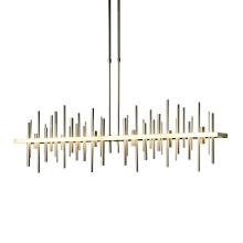 Hubbardton Forge - Canada 139726-LED-STND-86-84 - Cityscape Large LED Pendant