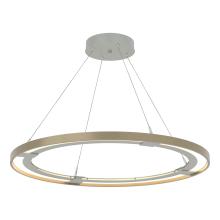 Hubbardton Forge - Canada 139776-LED-STND-82-84 - Ringo LED Pendant