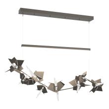 Hubbardton Forge - Canada 139813-LED-STND-07-07-CR - Belladonna LED Pendant